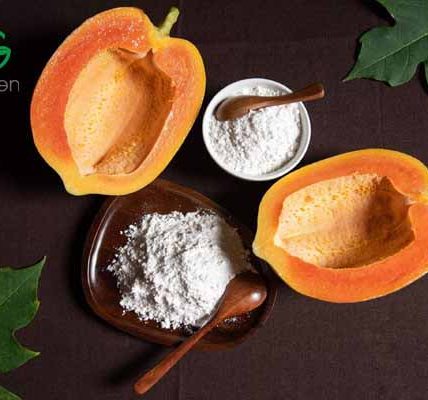 Enzyme Papain được sản xuất và chiết xuất thế nào?