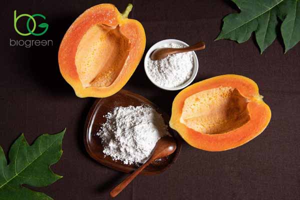 Enzyme Papain được sản xuất và chiết xuất thế nào?