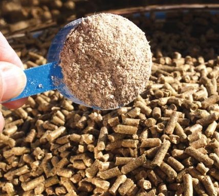 Dựa vào đâu để biết men bia, cao men bia, bã men bia?
