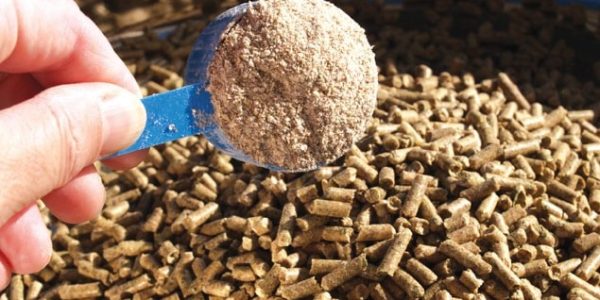 Dựa vào đâu để biết men bia, cao men bia, bã men bia?