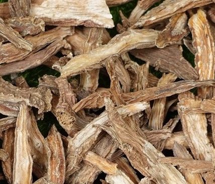 Tục đoạn dược liệu là gì?