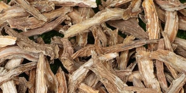 Tục đoạn dược liệu là gì?