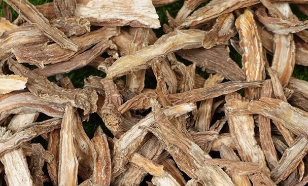 Tục đoạn dược liệu là gì?