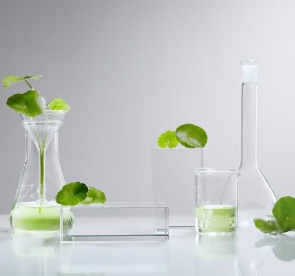 Bí quyết tự nhiên cho vẻ đẹp bền vững "chiết xuất dược liệu"