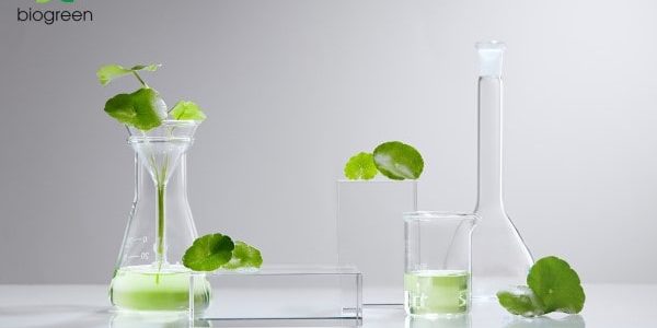 Bí quyết tự nhiên cho vẻ đẹp bền vững "chiết xuất dược liệu"